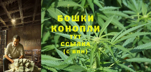 тгк Богородицк