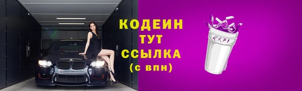 Альфа ПВП Белокуриха