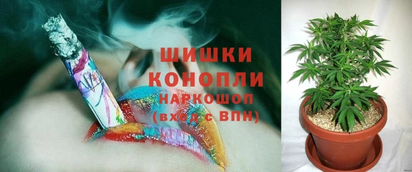 таблы Богданович
